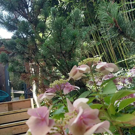 Dream Cube & Nocleg ze śniadaniem