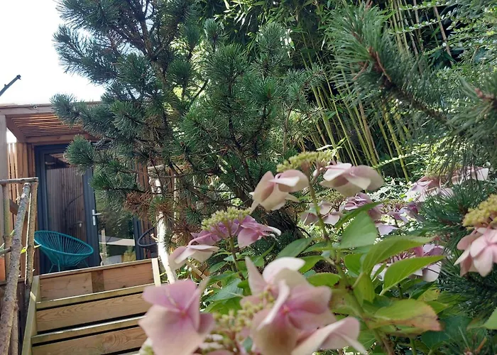 Dream Cube & Отель типа 