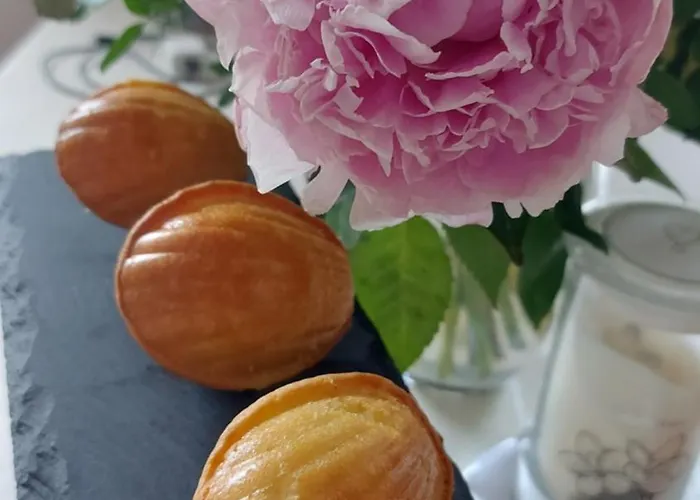 Dream Cube & Coutevroult